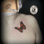 IMG-20250402-WA0097